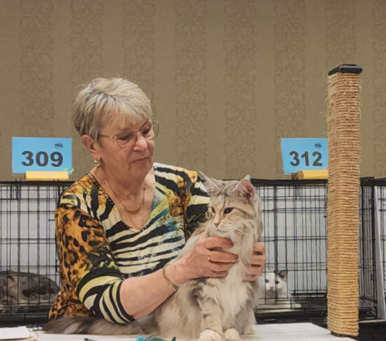 Ellen Crockett judging